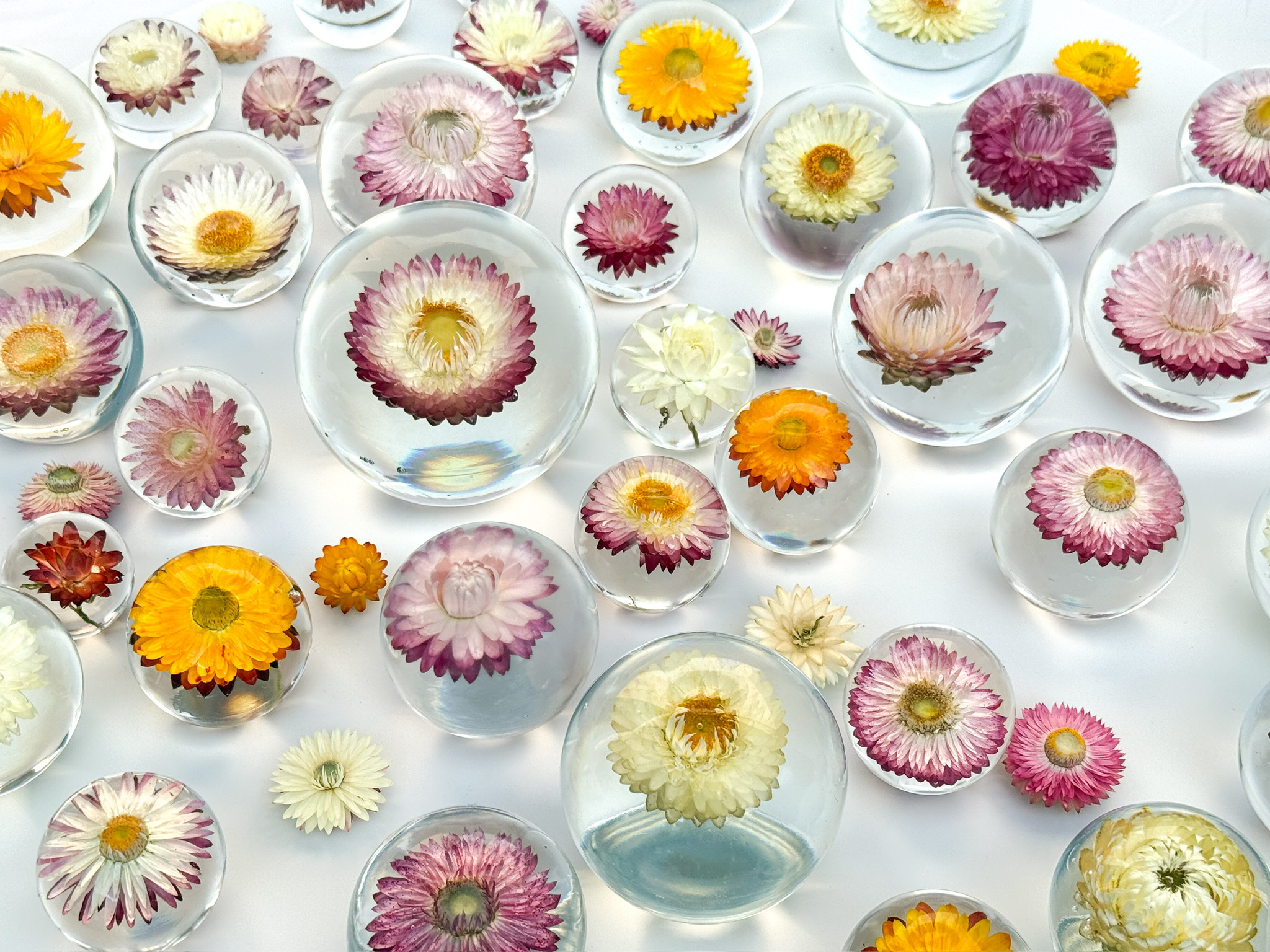 Bloom Spheres preview