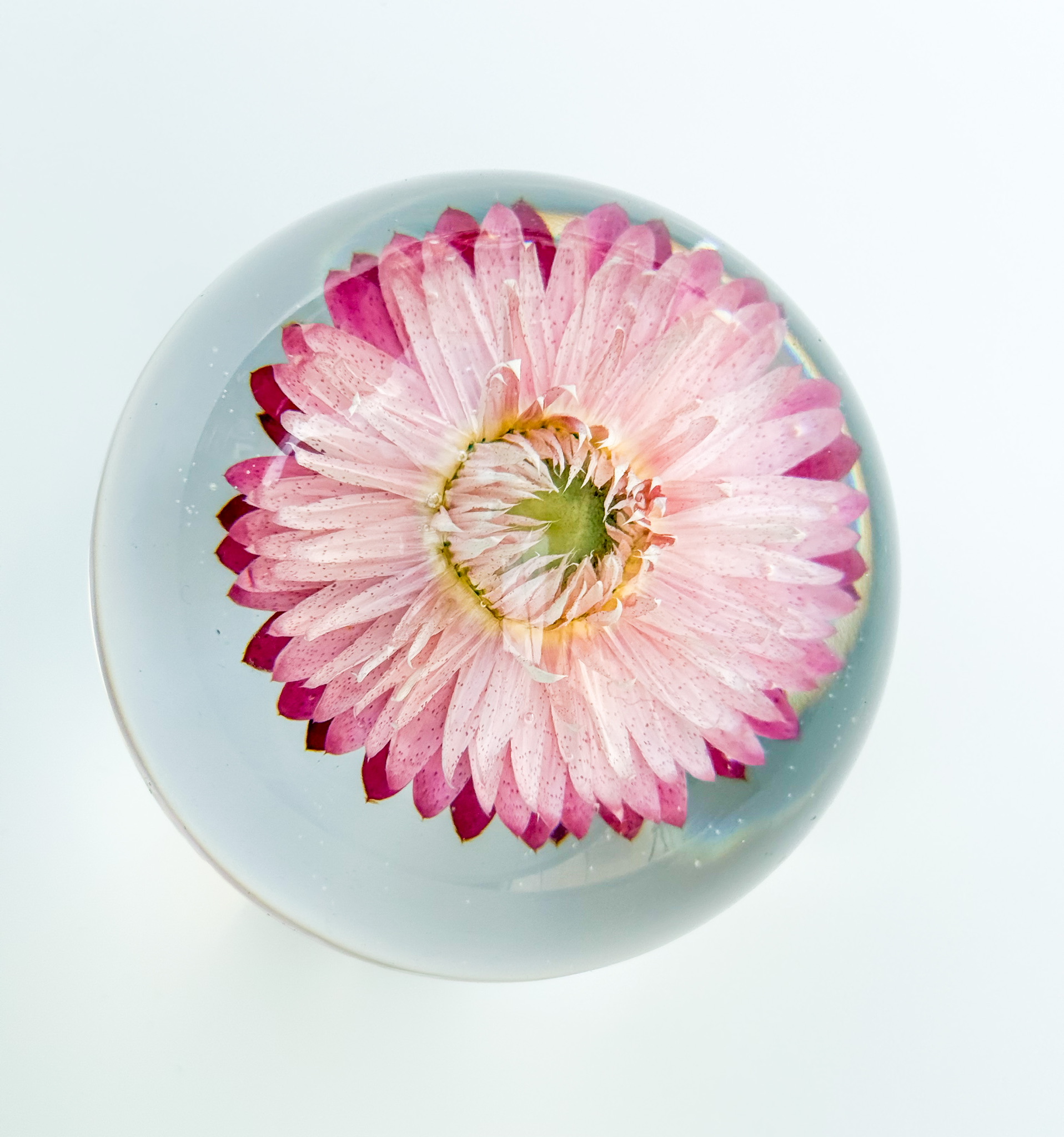 Sphere 1 top-down view