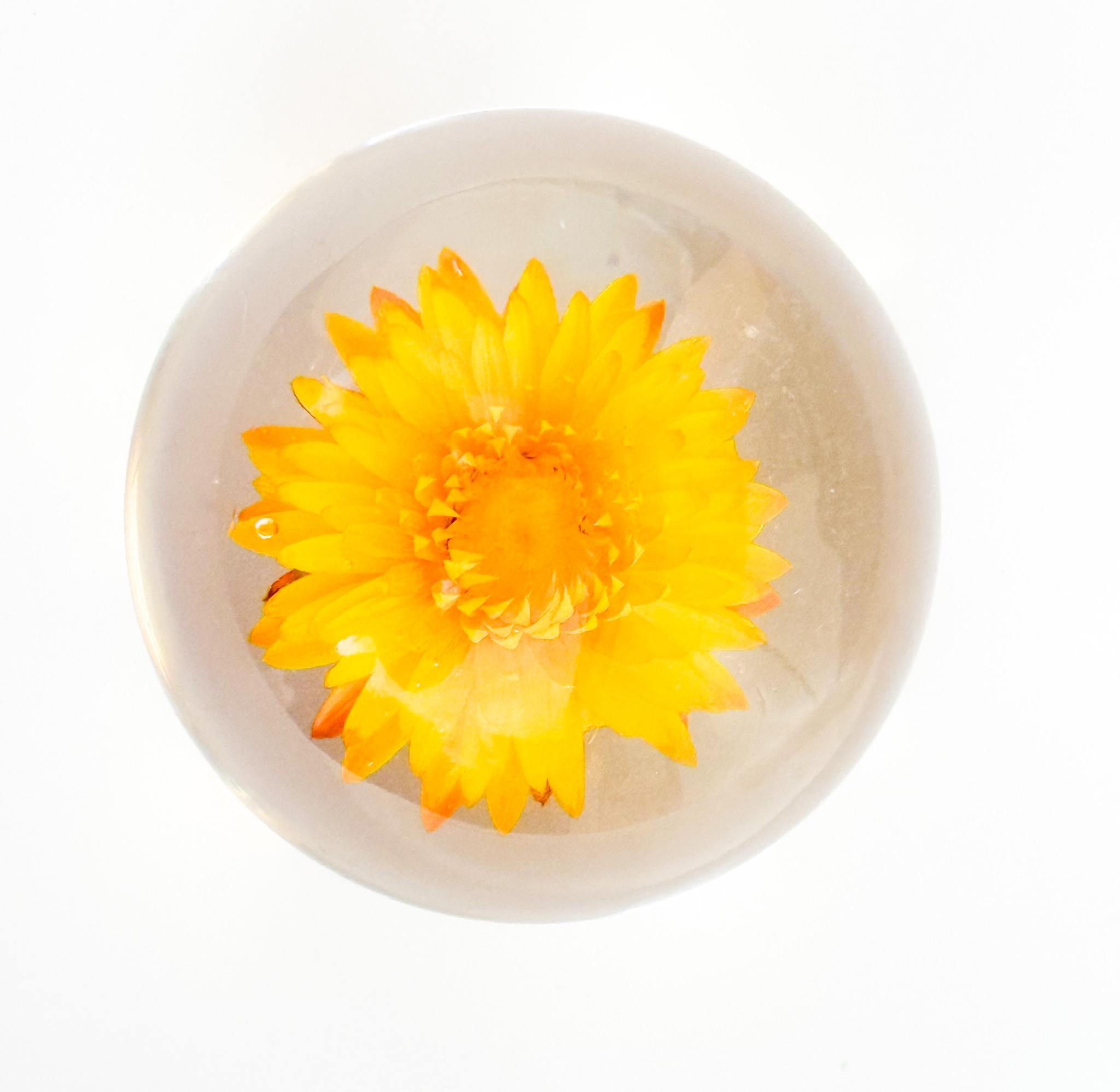 Sphere 2 top-down view