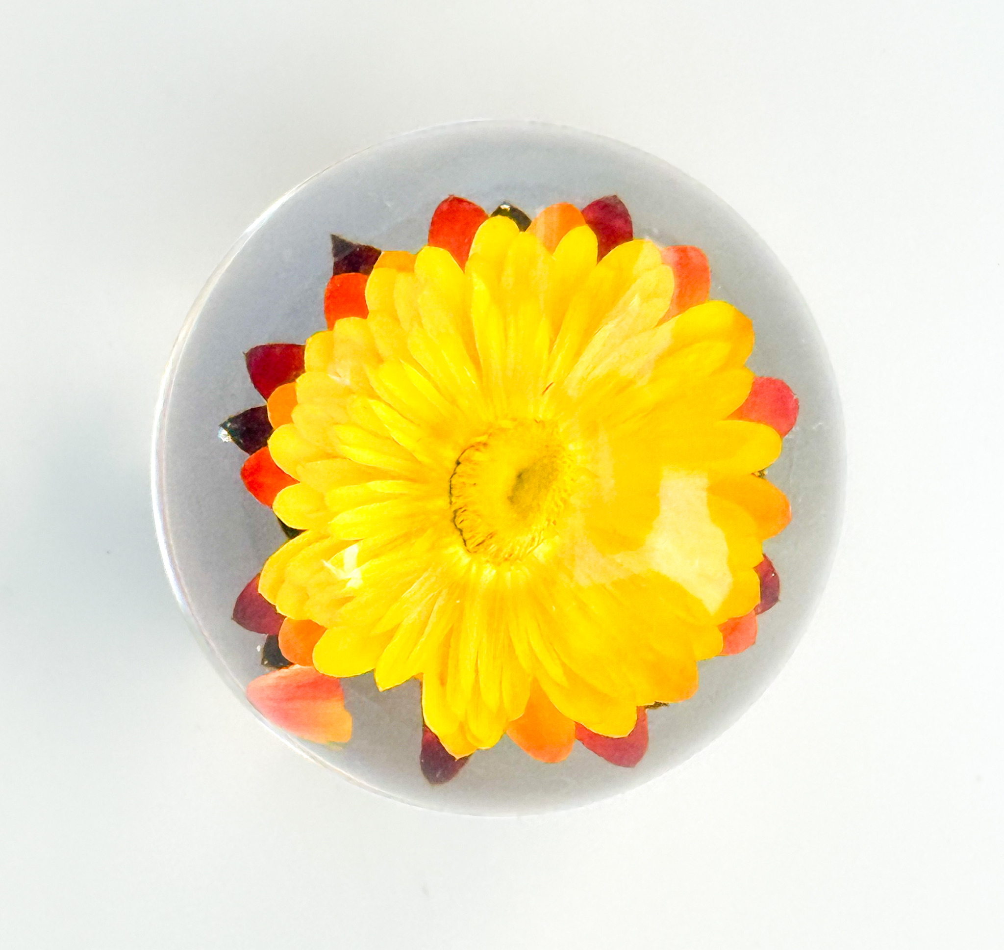 Sphere 4 top-down view