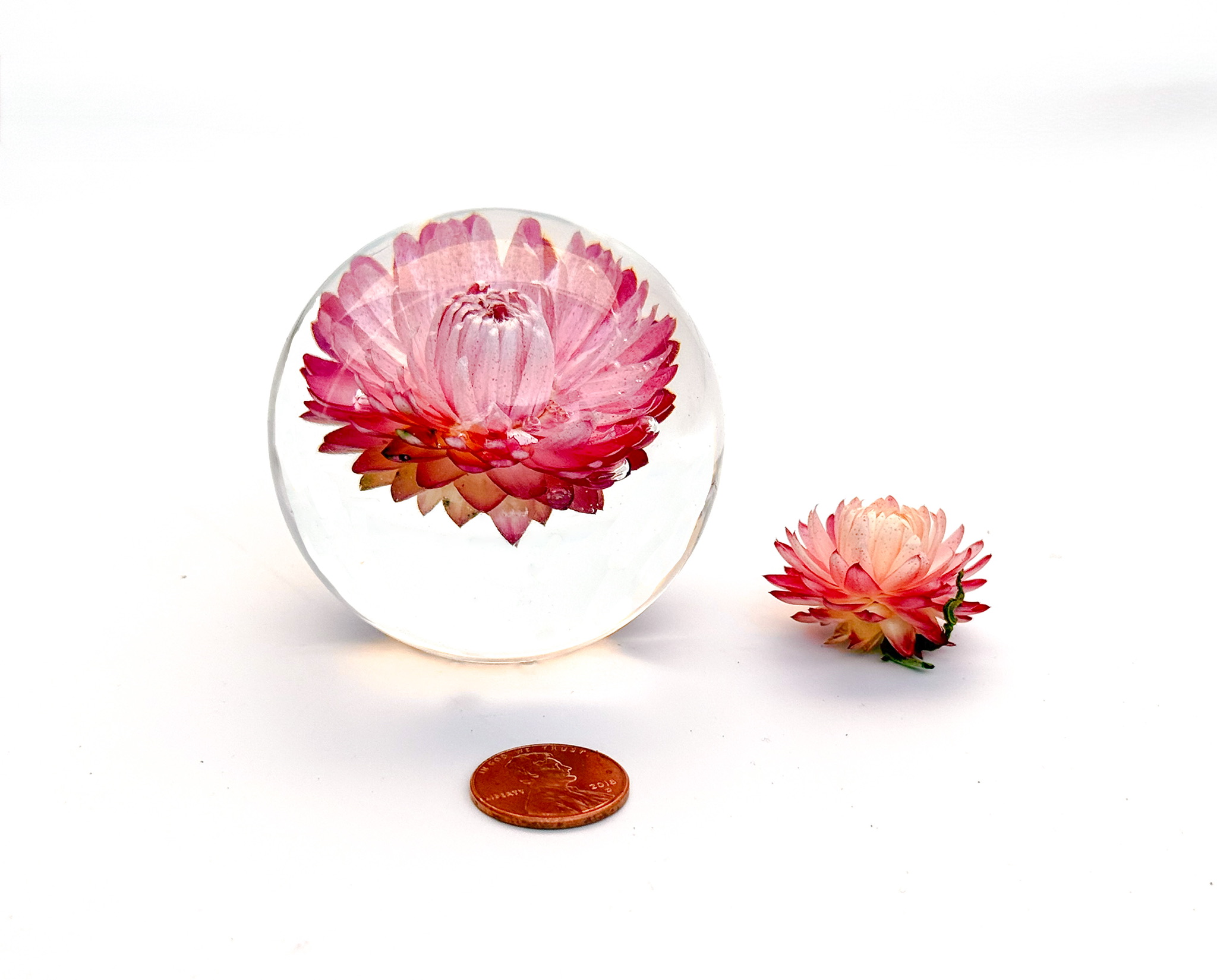 Small Bloom Sphere with penny for scale